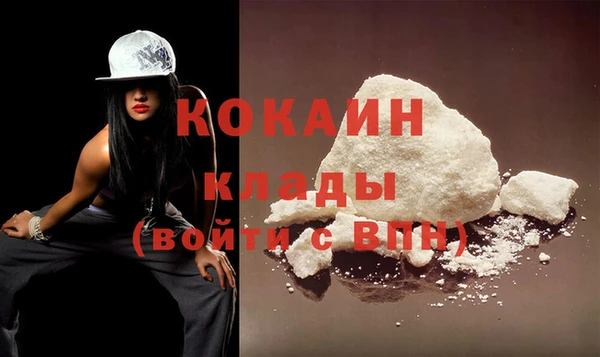 индика Михайлов