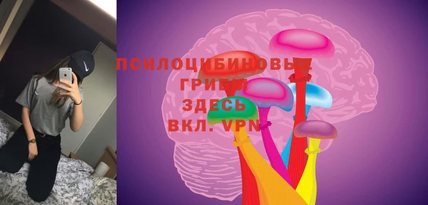 молекула духа Наволоки