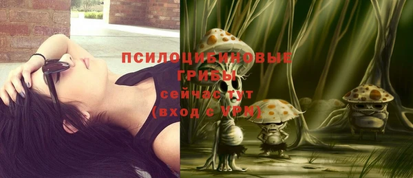 молекула духа Наволоки