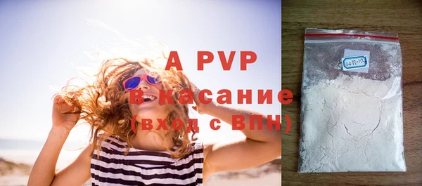 индика Михайлов