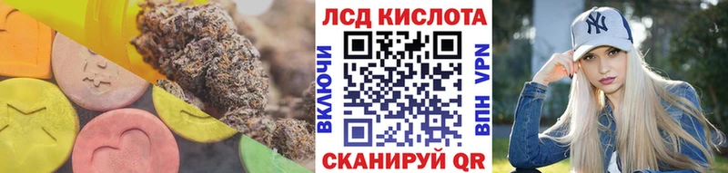 Лсд 25 экстази кислота  Мураши 