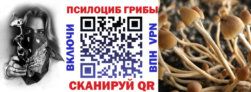 Галлюциногенные грибы Cubensis где купить наркоту Мураши