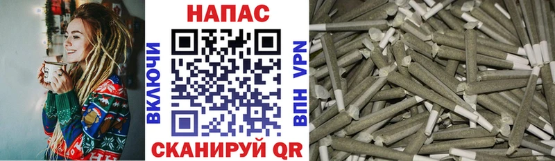 Шишки марихуана OG Kush  Мураши 
